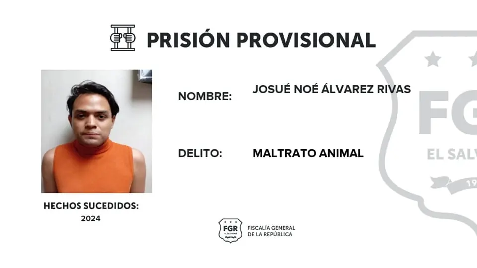 Salvador! 2024  extorsión, estafa, robo agravado, amenazas, homicidio, Hurto, Fraude, Insepro y Finsepro, la Fiscalía General de la República y la Superintendencia del Sistema Financiero, maltrato animal, tráfico ilícito internacional