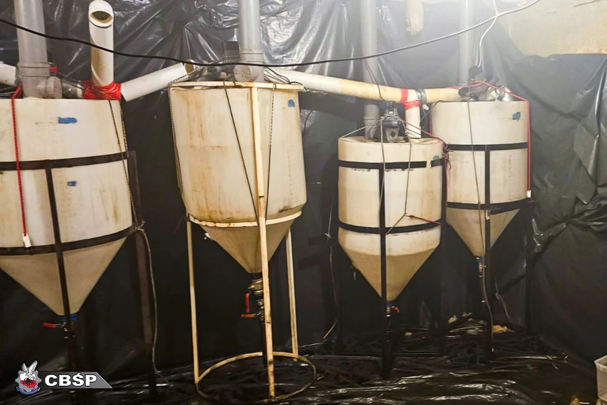 密码保护：Poland! 2025 Szokujące sceny w metrze. Pijany pasażer zaatakował dziecko z niepełnosprawnością, Znana aktorka zaatakowana w Warszawie przez gang nastolatków na hulajnogach. Obrzucili ją jajkami i kamieniami. “Bezinteresowna nienawiść”, Podejrzany o atak na siedzibę PO w Warszawie usłyszał dwa zarzuty. Jaka kara mu grozi, Przerażające sceny pod Złotymi Tarasami w Warszawie. Kobieta dźgnęła nożem mężczyznę, CBŚP z Łodzi zlikwidowało dwa laboratoria syntetycznych narkotyków, Rocznica zaginięcia Iwony Wieczorek, Mama Iwony Wieczorek UDERZA w nieżyjącego Szostaka i broni byłego chłopaka córki, Krajowa akcja Straży Granicznej i Policji przeciwko nielegalnej migracji cudzoziemców, Funkcjonariusze Morskiego Oddziału Straży Granicznej rozbili zorganizowaną grupę przestępczą zajmującą się przemytem znacznych ilości narkotyków