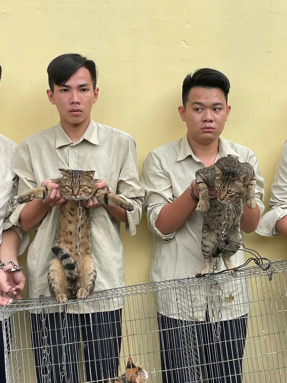 Vietnam! 2026.2 Công an xã Đông Thạnh TPHCM bắt nhóm chuyên trộm cắp mèo trong đó có nhiều con mèo cảnh đắt tiền, Cận Tết đổi tiền mới lì xì: Coi chừng “tiền mất tật mang”, Đường đi của rong biển “đội lốt hàng Việt” từ kho Dana Food ra thị trường, Khởi tố 9 thanh thiếu niên trong vụ cướp chém người ở Châu Đốc4, Công an TPHCM: Bắt 3 đối tượng bỏ trốn trong giai đoạn thi hành án bị truy nã, Bắt đối tượng truy nã về hành vi lừa đảo chiếm đoạt tài sản, Phát hiện xử lý cơ sở sản xuất buôn bán cà phê bột giả tại An Giang, Xác minh vụ nhóm người hành hung học sinh dã man ở Hóc Môn, Cần Thơ: Lập công ty Ba Con Sư Tử để làm phân bón giả, Bốn án tù chung thân dành cho nhóm quản lý đường dây lừa đảo tại Campuchia, Thủ đoạn trốn thuế hàng trăm tỷ đồng của chủ doanh nghiệp hối lộ cựu Thứ trưởng Hoàng Văn Thắng, Nguyên Giám đốc Công ty Cà phê Ia Châm lãnh án 5 năm tù, Bắt giữ “nữ quái” lừa đảo bị truy nã tại Hà Nội, Trộm xe máy ở bệnh viện gần một năm sau mới bị bắt, Tài “Đen” dành 3 tháng nung nấu kịch bản tẩu thoát sau khi cướp ngân hàng, Lời khai của Á khôi Bùi Thị Phương Linh SN 2004 vừa bị bắt, Á khôi cuộc thi sắc đẹp điều hành đường dây bán dâm, Bịa chuyện bắt cóc trẻ em để kêu gọi từ thiện lừa đảo hàng trăm người, Trả hồ sơ điều tra bổ sung vụ 4 bị cáo truy sát chủ trang trại ở Đồng Nai, Bắt quả tang phát hiện “bí mật” của Quách Thị Tú Trinh tại phòng trọ, Công an Tp.Cần Thơ: Bắt giữ 3 đối tượng bị truy nã, Triệt phá đường dây ma túy núp bóng pod vape: Hiểm họa mới rình rập giới trẻ, 3 người tái nghiện bị Công an xã Đông Thạnh khởi tố bắt tạm giam, Khánh Hòa: Phát hiện hơn 10 tấn thịt gà không rõ nguồn gốc, Tên trộm ‘sa lưới’ sau 10 giờ gây án, VKSND tỉnh Gia Lai thực hành quyền công tố tại phiên tòa xét xử sơ thẩm đối với 2 bị cáo về tội phạm ma túy, Nói dối có quốc tịch Mỹ lừa tiền của một phụ nữ ở Hải Phòng, Không chuyển trại giam nếu án dưới 3 tháng theo quy định mới, Thanh niên 20 tuổi cầm đầu đường dây mua bán người qua Campuchia, Mức án cho Hà Thị Lai Hạ – người vợ trẻ đâm chồng tử vong ở Phú Thọ