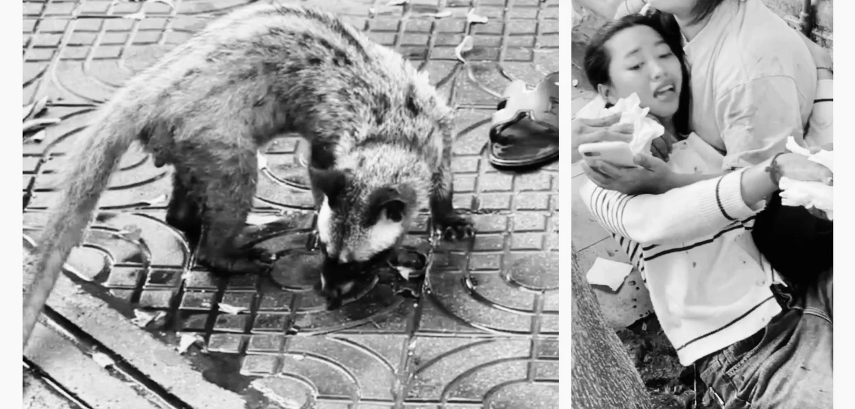 Cambodia! 2026 បាញ់គូជម្លោះស្លាប់ ដោយសាររឿងដកបង្គោលព្រំដី, ឃាត់ខ្លួនជនសង្ស័យម្នាក់ ករណីធ្វើទារុណកម្មបណ្តាលឲ្យស្លាប់ ហើយយកសពបោះចោលនៅសង្កាត់ក្រាំងធ្នង់, 15 arrested in Phnom Penh scam centre raids, រដ្ឋសភាអនុម័តទទួលយកសេចក្តីព្រាងច្បាប់ស្ដីពីការប្រឆាំងការឆបោកតាមប្រព័ន្ធបច្ចេកវិទ្យាទៅពិនិត្យ, 50 arrested in Sihanoukville scam crackdown, សត្វចិញ្ចឹមក្លាយជាគ្រោះថ្នាក់! សំពោចខាំម្ចាស់ ផ្អើលពេញបឹងកេងកង, កម្លាំងនគរបាលខេត្តស្វាយរៀង បង្ក្រាបករណីគ្រឿងញៀនទ្រង់ទ្រាយធំនៅក្រុងបាវិត ដកហូតបានថ្នាំជាង៤៤គីឡូក្រាម អាវុធខ្លី៤ដើម និងចាប់ខ្លួនមនុស្ស៥នាក់, អ្នកនាង ឆេង ស្រីរ័ត្ន ហៅ Love Riya ត្រូវបាន សាលាដំបូង ខេត្តកណ្តាល សម្រេចដោះលែង ឲ្យនៅក្រៅឃុំ វេលាម៉ោង ៥៖៣៥ នាទីល្ងាច ថ្ងៃទី២៤ ខែកុម្ភៈ, កម្លាំងផ្នែកជំនាញ នៃអធិការដ្ឋាននគរបាលខណ្ឌទួលគោក បានធ្វើការស្រាវជ្រាវឃាត់ខ្លួនជនសង្ស័យ០១នាក់ លួចទ្រព្យសម្បត្តិសរុបជាទឹកប្រាក់ ១ ៧៥០$, បង្រ្កាបទីតាំងបទល្មើសឆបោកតាមប្រព័ន្ធបច្ចេកវិទ្យាឈ្មោះឆាយណាបឹងបេង ខេត្តបន្ទាយមានជ័យ រកឃើញភស្តុតាង និងជនបរទេសមួយចំនួន, បញ្ជូនជនសង្ស័យចំនួន២នាក់ ទៅសាលាដំបូងខេត្ត ករណីជួញដូរ ប្រើប្រាស់ដោយខុសច្បាប់នូវសារធាតុញៀន និងកាន់កាប់ឬដឹកជញ្ជូនអាវុធខុសច្បាប់, ឃាត់ខ្លួនបានហើយ! ឃាតកម្មជនជាតិប៉ាគីស្ថាន រឹតកសម្លាប់សង្សារខ្លួនឯង នៅខណ្ឌពោធិ៍សែនជ័យ, ១៥ថ្ងៃ រាជធានីភ្នំពេញត្រួតពិនិត្យទីតាំងសង្ស័យ Online Scam ជាង ២.៧០០ទីតាំង រកឃើញជនបរទេសជាង២ម៉ឺននាក់, Five Foreigners arrested for telecom fraud in Phnom Penh, បង្ក្រាបហាងម៉ាស្សា បង្កប់រួមភេទ ចាប់ថៅកែចិន និងស្រីស្អាត, ចាប់ខ្លួនមនុស្ស ២៦នាក់ សង្ស័យពាក់ព័ន្ធករណី ឃាតកម្មយកសពរុំដោយថង់ផ្លាស្ទិកពណ៌ខ្មៅ យកទៅប្លុងចោលនៅក្រុងបាវិត ខេត្តស្វាយរៀង, ខឹងសុំលុយ១ពាន់រៀលមិនបាន ទាញកាំបិតបុ័ងតោកាប់ម្ដាយស្លាប់ក្នុងថ្លុកឈាម, ឃាតករកាប់មនុស្សស្លាប់ចំនួនពីរនាក់ពេលនេះត្រូវបានកម្លាំងកងរាជអាវុធហត្ថខេត្តតាកែវ ចាប់ខ្លួនបានហើយ, នគរបាលខណ្ឌប្ញស្សីកែវ ឃាត់ខ្លួនជនសង្ស័យ លួចទូរស័ព្ទម្នាក់ នៅសង្កាត់គីឡូម៉ែត្រលេខ៦, កម្លាំងអធិការដ្ឋាននគរបាលខណ្ឌសែនសុខ សហការជាមួយកម្លាំងអធិការនគរបាលស្រុកអង្គស្នួលចុះបង្ក្រាបករណីលួចមានស្ថានទម្ងន់ទោស(វាយ និងគំរាមប្លន់យកទូរស័ព្ទដៃ និងធាក់ប្លន់យកម៉ូតូ ០១គ្រឿងម៉ាកនិច, គ្មានថ្ងៃបន្ធូរដៃឱ្យក្រុមឧក្រិដ្ឋជន៖ នគរបាលជាតិបង្ក្រាបទីតាំងបទល្មើសឆបោកតាមប្រព័ន្ធបច្ចេកវិទ្យា (Online Scams) នៅបាវិត ឃាត់ខ្លួនជនបរទេស ជាង២០០០នាក់!, នារីរូបស្រស់ម្នាក់ជិះម៉ូតូជាមួយមិត្តភក្តិទៅដើរលេង ត្រូវបានចោរឆក់ទូរស័ព្ទបានសម្រេច ជនរងគ្រោះស្រែកយំរត់រកសមត្ថកិច្ចឲ្យជួយ នៅខណ្ឌសែនសុខ, ឃាត់ខ្លួនមុខសញ្ញាជួញដូរ និងប្រើប្រាស់ថ្នាំញៀនចំនួន០៨នាក់នៅស្រុកកៀនស្វាយ!, ប៉ូលិសព្រហ្មទណ្ឌរាជធានីភ្នំពេញ តាមចាប់ជនជាតិវៀតណាមប្រុសស្រីពីរនាក់ដល់ក្នុងបន្ទប់បន្ទាប់ពីលួចប្តូមាសពីអាជីវករអស់ជាច្រើនតំលឹង, នគរបាលខណ្ឌបឹងកេងកងបង្ក្រាបករណីចាប់និងបង្ខាំងមនុស្សជំរិតទារប្រាក់ ឃាត់ខ្លួនជនជាតិចិនម្នាក់ និងរំដោះនារីខ្មែរម្នាក់, ស៊យមែនដឹកគ្រឿងញៀនលក់តាមផ្លូវប៉ូលិសក្របួចជាប់, ចាប់បានហើយ ប្តីចុងសម្លាប់ប្រពន្ធនៅឯខេត្តកំពង់ធំ, ធ្វើសំណង់ជាមួយគ្នាប្រាប់ថា ខ្ចីម៉ូតូទៅទិញស្រាបៀរមួយភ្លែតស្រាប់តែបាត់ឈឹង សមត្ថកិច្ចតាមចាប់ដល់ស្រុកកំណើត, ពូកែរករឿងពេក ប្រពន្ធរត់ទៅផ្ទះ ប្តីទៅតាមមានទាំងកូនកាំបិតអង្គុយចាំមុខផ្ទះម៉ែក្មេក ត្រូវសមត្ថកិច្ចឃាត់ខ្លួន, Chinese embassy in Cambodia finds wandering internet celebrity lured to the country by ‘high-paying job’