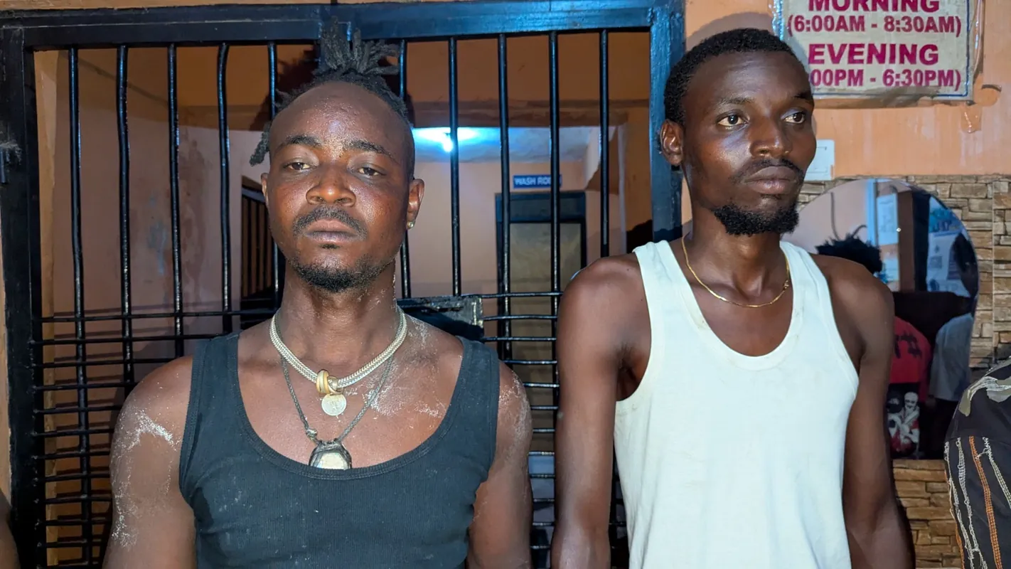 Ghana! 2026 Herdsman Remanded Over 65 Stolen Cattle in Ashanti, POLICE ARREST MEMBERS OF ROBBERY SYNDICATE LINKED TO MULTIPLE ATTACKS, Three busted and arraigned Over Sim Box Fraud, Defilement: Western Region Police declare Arabic teacher wanted, Woman 24 allegedly attacked during robbery attempt at Akatsi, 2 Chinese galamseyers arrested by NAIMOS, Police arrest 74 suspects in anti-narcotics operations, Pastor Demands GH₵40k From Ex-Wife Who Divorced Him Shortly After He Married Her With Loan Money, Tension Mounts as Family Rejects Body of Daniel Asare Over Police Account, A/R: NAiMOS arrests Pentecost elder over illegal mining at Asante Akyem Morso, Driver convicted over dangerous driving on Kumasi-Accra highway, Four in custody over killing of Indian National, Woman allegedly kills husband over charcoal money at Ekumfi Asaman, Prestea: Chinese Mining Firm Chased Out Of SWED Mining Concession, Illegal miner in alleged murder case remanded, Adu-Boahene Trial: Witness Tenders Transaction Records Cheque Books, Police declare 30-year-old Prince Krah wanted for double murder in Saki, Court denies businessmen bail in Gh¢49m gold fraud, Police arrest suspected hardened armed robber, Cocoa Smuggling: Fiapre Circuit Court Grants GHC10000 Bail Each to Four Suspects, GH₵400k MoMo Probe Reveals Gold Robbery Scheme as Four Suspects Face Court, Ghana rescues 305 West African nationals including 113 children in anti-trafficking operation, Ashanti South Police Command bust armed robbery gang, Police arrest 11 Nigerians over drugs cybercrime in Tamale, Police Arrest Suspect in Adjin Kotoku Onion Market Disturbance, Police arrest five suspected fake National Security operatives, Abesim murders: Court slaps Richard Appiah with life sentence for killing 2 boys, Mamprobi Child Theft Case: Court grants suspect GH¢200000 bail, Sentence cut for Agradaa dangerous precedent – Samson Anyenini, Oti Police Arrest Two Over Illegal Firearms and Ammunition, Two remanded over trafficking of Vietnamese woman for prostitution, Jomoro: Man fatally stabs neighbour who tried to save him from committing suicide, The intelligence indicated that young men were being exploited and coerced to engage in various cybercrime activities at these locations by kingpins, The Cyber Security Authority Ghana in collaboration with the Greater Accra Regional Command and the CID of the Ghana Police Service struck a double blow against cybercriminals, Police Arrest Three Gang Leaders in Adabraka Gold Robbery Investigation, Three Arrested Over Adabraka Gold Robbery