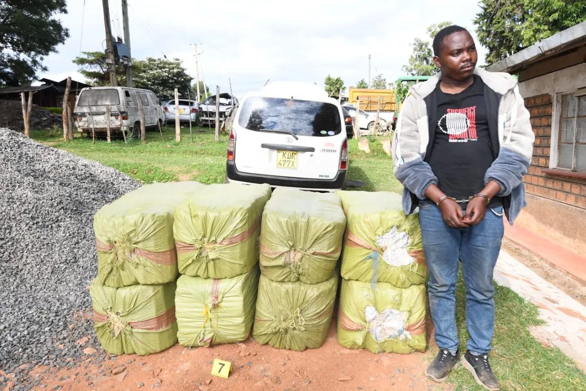 Kenya! 2026 Utumishi Girls: CCTV Footage Shows Moment Students Lit Dormitory Fire That Killed 16, 19 SUSPECTS ARRAIGNED IN SH14 BILLION SACCO FRAUD SCANDAL, 57 protesters arrested over Machakos fuel hike demos released on Ksh.5000 bail each, 22 girls rescued as child trafficking suspect arrested arraigned in Mombasa, Sarah Cohen’s Murder Trial Over Death of Dutch Husband Tob Cohen Begins at Kibera High Court, Mackenzie Terror Case Defence Opens as Witness Rejects Bible Oath Tells Court He Heard ‘Voice of Jesus’, Mackenzie Defence Hearing Continues as an Accused Persons Believe Her Dead Children are Happy in Heaven, Suspected trafficker arrested in Bomet as string of drug busts ensue, MORE ARRESTS AND RECOVERIES MADE AS DETECTIVES INTENSIFY CRACKDOWN ON STOCK THEFT GANG, PARKLANDS CRIME BUSTERS FOIL SUSPECTED FELONY PLOT ARREST KEY SUSPECTS AND RECOVER BURGLARY TOOLS, Alice Rianga: Tanzanian Gold Dealer Arrested over Murder of University Student in Bondo, 13 Convicted Over Electricity Vandalism as Courts Hand Down Heavy Sentences, Gachagua Issues Demands to DCI After New Evidence Emerges on Rev Ndumia’s Murder, Fresh Drama in Alleged Theft Case as Accused Claims Officers Assaulted Him During Arrest, Police Arrest Four Over Attempted Jet Fuel Theft at Wilson Airport, Two Suspects Arrested in Trans Nzoia Over Organised Crime, “Smokescreen or Strategy?” Lawyers Accused of Dodging Forgery Claims in Explosive Karugu Estate Battle, DCI Credits Public Tip-Offs After Arrest of Woman Linked to Ksh 50 Million Fraud Scheme, Woman Linked to Dr. Job Obwaka Death Seeks Freedom After Post-Mortem Points to Heart Failure, Fake Millions Fake Dollars: DCI Detective Tells Court Gold Scam Suspects Were Found With Counterfeit dollars Displayed as Evidence, DCI Arrests 2 Suspects Linked to Murder of PCEA Cleric, The respondent Bare Sahara Ahmed is currently detained at Kilimani Police Station for a period of 10 days to allow investigators to complete inquiries into the matter, The suspects Elizabeth Njoki Mukiri and Alfa Mukiri were apprehended at Suswa trading centre, The operation follows the earlier arrest of 44-year-old Harrison Ndirangu Mwirerie a key player suspected of handling stolen mobile phones, The intercepted vehicle with registration KDP 296G turned out to be a mobile stash house, Kakamega Businesswoman Attacked by Customer Over 2 Samosas, Chinese man jailed for one year by Kenyan court over ant trafficking, Mackenzie 95 co-accused put on defence in Shakahola mass deaths trial, Justice at Last: Huruma Building Owner Jailed for 7 Years Over 52 Deaths, Court Hands Death Sentence to 4 in Ex-MP George Muchai Murder Case, 3 Arrested over Assault on Vihiga Senator Godfrey Osotsi in Kisumu, Four Arrested in Athi River Drug Bust, Detectives recover decomposing body of Riat college student prime suspect arrested, Ex-lover confesses to brutal murder of Ramogi Institute student, Nyeri police impound Sh90000 counterfeit alcohol, Court detains suspect in acid attack on SDA musician as attempted murder probe widens, He Pushed My Head- Robert Alai Breaks Silence On Gun Incident With Babu Owino, Action Taken Against Robert Alai Over Gun Incident Involving Babu Owino, Detectives have arraigned Harrison Nyende Mumia before the Milimani Law Courts on charges of publishing false information contrary to section 22(1) of the Computer Misuse and Cybercrimes Act No 5 of 2018, Law enforcement officers in Marsabit have arrested a 23-year-old woman Morme Wario for procuring an illegal abortion alongside a 50-year-old quack doctor Haron Muthuri who carried out the procedure
