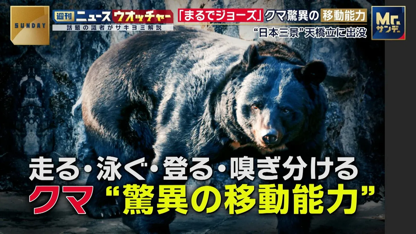 Japan! 2026.4-6 LINE交換しキャバクラスカウトか 2人逮捕 女性警察官か確認か, 「日野町事件」早期に無罪の公算＝検察側、再審で有罪主張せず, 「残虐で相当悪質な行為」交際相手の指や乳首を切断 24歳の女に懲役3年・執行猶予5年の有罪判決, 10代女性のスカート下にスマホを向けたか 観光で来ていた中国籍の男（21）を逮捕 迷惑行為等防止条例違反の容疑 富山, 認知症の80代女性にマンション契約…300万円詐取容疑で男2人逮捕 郵便局に連れ自覚ないまま振り込み 同様被害相次ぐ, “神の取次者”が「会長」と呼ぶ75歳母親を逮捕 取材に対しメガネ・マスク姿で「言いたい放題、デタラメ」, 【免許証改ざんか】4か月前の無免許運転で中国籍の自称塾講師の男を逮捕…物損事故を自ら警察に届け出て提出した免許証で発覚「私は運転していません」と容疑を否認〈北海道釧路市〉, 「300万円くらい稼げる」と勧誘し男性誘拐か 暴力団組員の男（25）逮捕 海外で特殊詐欺のかけ子をやらせようとしたか, 「殺すぞ！ナイフで刺すぞ」駆けつけた救急隊員を殴るなどの妨害行為が増加 東京消防庁管内で過去最多ペース, “偽エルメス”質屋に入れ1400万円詐取疑い 78歳母と44歳娘を逮捕 1年で被害額1億円超か 「納得いきません」容疑否認, 介護施設入所者2人の点滴に空気入れ殺害…無罪主張の元職員の女に無期懲役求刑 検察側「無差別的と言える殺人」, 「平和な日本で過ごしたい」アメリカ軍の退役軍人の女になりすましてロマンス詐欺か 65歳女を逮捕, 駆けつけた警察官に体当たりした疑いで男逮捕 父親の遺体発見 きっかけは知人の通報「SNSで父を木刀で殴ったと投稿」, 【加藤智大元死刑囚】「秋葉原で人を殺します」タガーナイフ・派遣切り…法律を変えた秋葉原無差別殺傷事件18年の教訓, ［福岡県］早良区未解決事件で署が情報提供求める 発生から20年, 「2回は突き刺したけど、回数の記憶はない」85歳殺人事件で同じマンションの47歳逮捕 殺害して腕時計奪ったか 大阪・東淀川区, 名古屋女性2人殺害、被告が起訴内容認める 弁護側は心神耗弱を主張, 「旧統一教会がなければお前は生まれなかった」自らの出自に苦しみ続けた宗教２世 銃撃事件に感じた「責任」 トラウマと向き合い“２世同士のつながり”呼びかけ「教団の清算手続きが終わっても２世の人生は終わらない」, ｢欲望の赴くままに…酌量の余地がない｣ 女子児童の体を触り動画で撮影 “盗撮共有”横浜の元教諭に懲役8年 教員グループで6件目の判決 最も重い量刑 名古屋地裁, 「父親の首を絞めた」自宅で88歳父親を殺害か 無職の54歳息子を逮捕 自ら110番通報し自首 茨城・水戸市, “妻殺害”で追起訴 旭山動物園の飼育員・鈴木達也被告（33）「首をロープで絞めて殺した」と供述 北海道・旭川市, 当時17歳の女子高校生が行方不明となって29年 通学に利用していたJRの駅で警察官らが情報提供呼びかけ, 【”1万日”無休の食堂】函館「たつみ食堂」の名物店主・山田征勝さん（85）肺がんで死去…地震・停電・コロナ禍も休まず営業＿家族は「父にとって食堂は『城』であり『生きがい』でした」 〈北海道〉, 栃木強盗殺人から1カ月 指示役の男と実行役の高校生らが東北道・蓮田SAで待ち合わせ 主導役は現在も海外逃亡中, 約150mあり重さは推定300トン…海岸に漂着した“中国製の浚渫パイプ” 県が撤去に向けた準備開始, ゲームセンターで“スプレー噴射”27歳男を逮捕 男女23人が喉に痛み 自宅から護身用催涙スプレーを押収 名古屋市, 「ウサイン・ボルトのように走り、ジョーズのように速く静かに泳ぐ」意外な場所に出没するクマの“驚異の移動能力”, 鳴き声に腹を立て「ネコ殺しちゃいました」 高齢ネコを蹴ったり、棒で殴ったり、床に叩きつけたりして殺した70代男 起訴を求める“厳重処分”の意見を付して書類送検 「カッとなって苛立ってやってしまった」, 国内最大級スカウトグループ「ナチュラル」ナンバー2の男（35）逮捕 20代女性を風俗店に紹介した疑い 確保時に“逃走資金”100万円所持, 「飲み放題３０００円」で８７万円を請求か 詐欺の疑いで男女４人逮捕 レンタルルームをバーに偽装、マッチングアプリで知り合った女が高額の酒を大量注文し姿消す, “PayPay悪用詐欺”急増 3カ月で8万6000件超 「日本年金機構」かたり本物アプリで送金誘導 決済後はキャンセル不可, 「復縁を断られ犯行」相模原市・女子高校生（17）殺害事件 元交際相手の男（19）を逮捕 事件当日も含め複数回復縁を迫っていたか 神奈川, 名古屋の異臭騒ぎ 27歳の容疑者逮捕「催涙スプレーまいた」, 女子高校生（17）を殺害か 知人の男（19）を殺人容疑で逮捕、容疑認める 「夜は真っ暗で通らない」神奈川・相模原市の河川敷, 84歳男が70代の恋人にストーカー行為 「別れたいけれど家の周りに来る」 警察が見回りに行ったところ男を現認 禁止命令に背いた疑いで現行犯逮捕 「見たくてうろついていたことは間違いありません」, 同僚女性をオノで殴りつけたか 中国籍の技能実習生（20）を逮捕 女性は頭頂部が裂ける重傷, 中国籍の技能実習生の男を逮捕 斧で女性の頭部を殴り殺害しようとした疑い 「社内の人間関係でトラブルがあった」 福岡, 「見た目がおいしそうで」スモモ24個盗んだ疑い 77歳の男逮捕 白昼の犯行 山梨, 建築現場の高所作業に必要な資格証明書を偽造した疑い 中国国籍の会社役員の男を逮捕, チャットGPTに相談し恐喝額「15万円」決める 元交際相手の男子高校生に暴行・恐喝未遂疑いで少女ら5人逮捕 東京・八王子市, 「一生弔い続けたい」生後4カ月の息子を浴槽に沈め殺害 母親に懲役3年・執行猶予5年判決 千葉地裁, 【1000万円以上だまし取ったか】口座から約156万円詐取した疑いで逮捕の函館市競輪事業部の職員の男「ギャンブルに使った」と市に説明…帳簿の照合作業中に“早退し自首”して発覚＿余罪捜査へ〈北海道〉, 「持病のてんかん発作で車暴走・22歳女性死亡させた罪」など問われた女の裁判 女は「てんかん発作が起きたわけではではない」無罪主張の中 証人尋問で専門医「原因はてんかんによるものと強く疑う」証言, 「だまされたふり作戦」で特殊詐欺の“受け子”中国籍の38歳女を現行犯逮捕 70代女性が不審に思い警察に相談 玄関先に現金を取りにきたところを逮捕 詐欺未遂の疑い, 大学に侵入し一眼レフカメラなど窃盗か 執行猶予中の元教師の36歳男を逮捕 元勤務先の中学校から楽器盗み有罪判決, 【解説】内田梨瑚被告に懲役27年求刑 判決の焦点は「殺人罪の成立」 食い違う主張 厳罰望む遺族 旭川女子高校生殺害, 「マッハ電気修理」名乗り、不要な工事を持ちかけ代金だまし取ったか 詐欺グループ指示役、実行役ら6人を逮捕 被害額4700万円か, 「ケンカするんだろ？」祭りのだんじり担ぎ手がトラブル 30人超が入り乱れ集団暴行 4人逮捕 愛媛・西条市, わいせつ行為をライブ配信か 男女3人逮捕 無料で集客後により過激な内容は有料に誘導 1年間で収益約1億円得たか 警視庁, IT会社役員の遺棄事件　静岡・伊豆山中で遺体の一部発見, 「お金がなかったから欲しかった」14歳女子中学生を逮捕　60代女性の顔にスプレー、財布奪ったか　埼玉・春日部市, 池田小事件25年　学校の安全、計画99％も実効性に課題, 自宅で85歳妻を殺害か　88歳夫を逮捕　木製バットで殴り、刃物で切りつけるなどして殺害した疑い　容疑者自ら110番通報　駆け付けた警察官が死亡した妻を発見　長野・天龍村, 副業興味ない?…マルチ商法目的を隠し、女性2人を勧誘した疑い　会員が全国に900人いたか…指示役の女と勧誘役の男を逮捕　別の人物を勧誘すると報酬が受け取れる仕組み、被害女性2人への報酬は確認できず, 自宅と車を放火、弁護側は知的障害と平均の間に位置する「境界知能」の特性ありと主張　福井地裁で初公判、被告の31歳男は起訴内容認める, 北海道江別市で男子大学生が集団暴行を受け死亡した強盗致死　21歳の女に無期懲役を求刑, 無免許運転疑いで逮捕の中国籍の男、1年前に小学生ひき逃げ　裁判での「一切運転しない」証言と矛盾する行動, 91歳の母親殺害容疑で逮捕の男性（63）不起訴に　「精神鑑定の結果含め証拠関係を総合的に考慮」東京地検, 21歳女性の死因は腹や胸など複数刺されたことによる出血性ショック…殺人容疑で送検のインドネシア国籍の27歳男「殺そうとして刺しました」―警察が詳しい動機を調べる_北海道千歳市, 歌舞伎町で当時14歳の少女に性的暴行か　24歳男を逮捕　トー横で知り合い犯行か　東京・新宿, 「口の中に眠るお宝」銀歯が1000万円以上の価値に？　貴金属高騰の裏で歯科医院は“赤字治療”の苦境　狙われた銀歯…歯科医師の犯行は業界の悲鳴か, 息子が海外勤務で過労死　実際の残業「約150時間」 海外赴任中は労働基準法が原則適用されず　日本企業に求められる“安全配慮”　遺族と過労死を起こした企業が共同で“管理マニュアル”作成, 警察官の目の前で女性刺したか 逮捕のインドネシア国籍の男「殺そうと」 北海道千歳市, 薬を過剰摂取の少女に性的暴行疑い 24歳再逮捕 歌舞伎町, TOEIC替え玉受験 中国籍の大学院生に猶予付き有罪判決, 飲酒運転で小学生4人ひき逃げした中国籍の男 執行猶予中に無免許運転で逮捕 埼玉・三郷市, 「年利12％」うたい無登録で出資勧誘 870億円集金の投資詐欺 実質経営者を再逮捕 44億円違法報酬受領か, “遺体なき”死体遺棄事件で遺体発見 被害男性の切断遺体が静岡の山林で IT関連会社代表・水口克也容疑者を逮捕・起訴, 「モームリ」運営の元社長に懲役2年 妻に懲役1年6カ月を求刑 依頼者に弁護士斡旋 紹介受けた代表弁護士は有罪判決, 「人生奪ってしまい本当に申し訳ございません」内田梨瑚被告 傍聴席の遺族に26秒頭下げ謝罪も「私は殺意持っていなかった」 旭川女子高校生殺害, 教材費など約350万円を横領疑い、小学校元教頭の男逮捕 「生活費に困っていた」 千葉・市川市, 東京・五反田で違法風俗店を摘発 2年間で約1億8000万円売り上げ 路上で客呼び込み性的サービス, 「手っ取り早く稼ぐためだった」アパートから現金約1000万円など盗んだか 闇バイト窃盗事件の指示役（39）逮捕 東京・立川市, 兵庫・たつの市母娘殺害 公開手配の42歳男遺体は先月20日ごろ死亡、“ほぼ空腹状態”で死因は不明 市内の揖保川支流で遺体発見, 「おっとりして」「小さくてかわいい、おとなしい子」幼なじみたち語った大山賢二容疑者の人物像 小学校の卒業文集の将来の夢は「発明家」 兵庫・たつの市親子殺害事件で公開手配 川で遺体で発見, ［長崎県］「命の重み」見つめ直し 佐世保小6同級生殺害から22年 大久保小 決意と追悼, 芥川賞作家の李琴峰さん 性別めぐる投稿で弁護士に賠償命令, 倉庫侵入盗の疑いで逮捕の男２人、「チャットＧＰＴで空き巣ができそうな場所を調べてきた」供述, 母子支援施設で娘２人殺害疑いで逮捕の母親 検察が鑑定留置を開始 福岡, 【障害者支援施設を家宅捜索】「イラっとして蹴った」入所者虐待で職員2人逮捕の異常事態…施設側は「日常的な暴行はない」一方逮捕された男は「暴行が常習化し、どのことか思い出せない」〈北海道釧路市〉, 金品など奪うため住宅敷地に侵入か 24歳男を逮捕 実行役の男ら強盗予備で5月に逮捕…トクリュウか 東京・小金井市, 「本当にかわいそう」被害者の父が語る無念…85歳男がマイクロバスでひき逃げ 男女2人が死亡 名古屋市, 「4000万円」報酬示唆し犯行依頼か 公開手配の“主導役”益田和彦容疑者（48） 秘匿性高い通信アプリで“指示役”に連絡 栃木強盗殺人, 栃木強盗殺人 海外逃亡の男、被害者宅に1億円の資産あると情報入手し犯行を計画 “指示役”に4000万円の報酬提示か, 「本当にバカなことを…一刻も早く出頭して」益田和彦容疑者の元妻を独自取材 海外逃亡翌日に最後の連絡 栃木強盗殺人, 栃木強盗殺人 40代男に逮捕状 押収したスマホ解析し浮上、事件を計画か 中国へ出国、東南アジアに逃亡した可能性, 主犯格の男の暴行「止めようと思わなかった」【大学生集団暴行死】川村葉音被告（21）が証言「キレていて怖く、エスカレートするとは思わなかった」札幌地裁の裁判員裁判3日目, 「口座の現金に付いている指紋を確認する必要がある」70代女性から現金1150万円をだまし取ったか 中国籍の男（36）を逮捕 詐欺グループの指示役か, 「妻と連絡が取れない」北アルプス赤岩岳で発見の遺体は行方不明になっていた中国籍の56歳女性と判明 来日前、夫に「燕岳や槍ヶ岳に行って上高地に降りて来る」, 川崎 児童や保護者20人殺傷事件から7年 現場や学校で祈り, 巨人・阿部監督が辞任 娘への暴行容疑で現行犯逮捕・釈放 元AERA編集長「体罰ダメだが…逮捕の必要性あったか」指摘 “児相に通報”した娘には「子供が声を上げられたという意味では絶対責めてはいけない」, 【解説】「着替えたということは犯行隠蔽・証拠隠滅の気持ちはある」静岡県警・科捜研出身の犯罪心理学者が指摘 兵庫・たつの市の母娘殺害事件 指名手配の男 防犯カメラの着衣に血痕なく 着替えて逃走か, 「シンガポールで内臓売れよ」20代女性を誘拐、海外で“かけ子”やらせようとしたか 住吉会系暴力団組員の男を逮捕, 俳優の10代女性に性的暴行か カメラマンの29歳男を逮捕 自宅スタジオで撮影の休憩中に犯行 東京・品川区, 保護施設の女子高校生に性的暴行の疑い 元職員を逮捕「他の児童にも」, 栃木強盗殺人 “指示役”夫婦は別行動で逃走・潜伏図ったか 羽田空港と神奈川県内のホテルで確保, 金塊狙い凶器の警棒所持か 強盗準備の疑いで男6人逮捕 他に2人がレンタカーで逃走 東京・新宿区, 神戸児童殺傷「なぜ」問い続ける 29年で父親、加害男性に, ミニトマト盗もうとビニールハウス侵入 容疑で中国籍の男逮捕 茨城県警鉾田署, 「子どもができたら帰国させられると思っていた」生後間もない女児遺体を遺棄か インドネシア国籍の21歳女を逮捕 「特定技能制度」で去年10月に来日 埼玉・深谷市, 「交際を夫にばらされたくなければ100万円」 署名を強要で会社員を逮捕 「書面は合意の上で作った」と一部否認, 神戸連続児童殺傷事件から２９年 「子どもへの思いは変わらない」土師淳くんの父親が思い語る, 「何年たっても思い出すのは11歳の子どもの姿」神戸の児童連続殺傷事件 発生から29年, 「1度も解決できないと思ったことはない」吉川友梨さん行方不明から23年 捜査本部班長が語った思い 最後の目撃から自宅までわずか400m… メディア初取材・捜査資料に記された「徹底的な聞き込み」, 兵庫 たつの 母娘殺害事件 42歳容疑者を公開手配 娘殺害容疑, 旭川女子高生殺害事件 内田梨瑚被告「殺意はなかった」 きょう初公判で殺人の罪など否認 6月22日に判決, 「まさかこんな田舎で…」郊外で相次ぐ事件 “安全神話”に潜むリスク 治安が良いからこそ“防犯意識低く“人の目”も少なく…郊外の住宅街が狙われる理由, 高齢女性をひき逃げし死亡させたか 無免許運転の22歳男逮捕 アルコール検知し飲酒運転についても捜査 埼玉・幸手市, 都内の大学で不正受験か 中国籍の塾講師を逮捕 警視庁, 藤沢市役所職員50歳女がコンビニで万引き…追いかける店長押し倒し大暴れ バッグに味付け卵やチャプチェも 神奈川, 無許可で女性従業員に接待させたか ガールズバーとコンセプトカフェを一斉摘発 経営者ら逮捕 東京・歌舞伎町など, 吉川友梨さん行方不明から23年 警察が大阪・ミナミで情報提供呼び掛け 下校途中に何者かに連れ去られたか, 偽物の高級ブランド服を販売の疑いで男女7人逮捕 韓国から密輸か 衣服など約3000点を押収し捜査, 栃木強盗殺人 “指示役”妻・美結容疑者は事件当日もSNSに音楽に合わせた投稿 同級生「いいお母さんなんだと思っていた」, 栃木強盗殺人、“指示役”妻はダンススクールの月謝4カ月分を滞納か SNSでは「いいお母さん」 少年らは住宅侵入直後に飼い犬も殺害, 指示役とされる容疑者夫婦は「バイトリーダー的存在」警視庁元刑事が首をかしげる「犯行の稚拙さ」 栃木・強盗殺人, 栃木強盗殺人事件 “指示役”妻の美結容疑者を送検 カメラに気付き顔背ける様子も 夫婦「自分たちは関係ない」, 自転車青切符、都内は501件 40代が最多 目立つ「一時不停止」, 住宅強盗 親子3人死傷 自称16歳男子高校生逮捕 栃木 上三川町, クレカ不正利用、中国人ら６人逮捕＝３．７億円転売か―愛知県警, SNSで知り合った“有名投資家の関係者”から勧誘され…50代女性が3000万円騙し取られる アプリ上にはウソの利益が表示も=静岡県警, 中国籍の32歳男が”出禁中”にも関わらず人気リゾート施設に侵入しリネン室に”放火未遂”さらに敷地内の立ち木にも火をつけ逮捕「一切話すことを拒否します」と宣言_バス停小屋にも放火〈北海道留寿都町〉, 被害者「本当に返してほしい」 無登録で海外金融商品への出資募り870億円集める 実質的経営者ら6人逮捕, 絶滅危惧種のカメ「中国に売った」沖縄の世界遺産やんばるの森で「リュウキュウヤマガメ」など密猟容疑で男女逮捕, 別の女児にもわいせつ行為か 障害者施設元職員（46）再逮捕 スマホから4000点超の動画押収、余罪を捜査 東京・八王子市, 1歳の息子を浴槽に沈め殺害か 神奈川・鎌倉市職員の女（35）を起訴, 【公然わいせつ】商業ビルの男性用トイレの個室外で下半身露出―67歳男を現行犯逮捕「納得がいかない」と容疑を否認…目撃した男性に注意され逃げだすも追跡され現行犯逮捕＜北海道札幌市＞, 栃木・上三川町強盗殺人 自称・高校生の少年（16）を新たに逮捕 すでに逮捕の16歳少年と知人関係に…他にも複数人逃走中か, 「トー横」で知り合った女子中学生に売春させた疑いで24歳男逮捕 「パパ活して稼げばいい」などと指示 稼いだ金を得たか, 大阪・ミナミのホテルで女性殺害 女性の死因は「窒息死」と判明, 面識ない男性に山奥で「200万円だせ」強盗致傷の疑いでモンゴル人技能実習生を逮捕 旭川市, マッチングアプリで知り合った50代男性から100万円詐取か 24歳女を逮捕「借りているだけ」と否認 岡山, 「遊ぶ金欲しさにおばあちゃんから…」高齢女性を羽交い絞めにして財布を奪い取った疑い 15〜17歳の男女4人を逮捕 大阪・守口市, 「性的な欲求満たすため」発達障害のある女性にわいせつな行為か 支援団体元講師の40歳男逮捕 2人きりの授業中に犯行, 靴に空けた穴に小型カメラ…女性のスカート内を盗撮か 海上自衛隊員の37歳男を現行犯逮捕 容疑認める 横浜市, 元カレに数百通ものメッセージを送信 「相手が応えてくれないから…」 22歳無職の女を逮捕 自宅への押し掛けも 警察からの警告を無視してストーカー行為を続ける, 「妻と連絡が取れない」中国大使館を通じて夫から長野県警に連絡 中国籍の56歳女性が行方不明 北アルプス燕岳周辺で遭難か 来日前「燕岳や槍ヶ岳に行って上高地に降りて来る」 4月29日の連絡が最後, 当時3歳の次女を殺害した疑いで30歳母親を再逮捕へ 母子生活支援施設で心中装い姉妹殺害か 福岡・嘉麻市, 無許可で船の解体を請負か…72歳男を逮捕 横浜市から借りた土地で使用料払わず約70隻の船を放置 市が撤去命令, 小学校教師を逮捕「ためらい感じつつ興奮抑えられず」 女子児童の水筒の飲み口に下半身押しつけた器物損壊の疑い 東京, 「同僚の目盗み…」ATM管理責任者が1億3500万円盗んだ容疑 競馬や高級ブランド品に使い込みALSOK元社員逮捕, 父親に「殺してばらしてやるぞ」と脅迫…高校生の少年(18)を逮捕　札幌市, 自宅で妻殺害か 82歳の夫逮捕　自ら警察に通報「妻を殺した」　福島, 【速報】交際中の女子高校生（17）と男子高校生（17）が死亡　胸に刺し傷　殺人事件として捜査【岡山】, 【独自】結希さんの遺体を移動させた理由「捜索が及ぶ可能性があったため」と安達優季容疑者が説明　殺害後に4か所へ…動機解明など進める【京都男児殺害事件】, 侵入から3分で根こそぎ…相次ぎ狙われた高級ブランド店　名古屋や東京でも同様の被害　福井県警が広域窃盗事件を視野に捜査, 妹が殺された　検察は34年間、証拠を伏せた　「では、真犯人は？」, タイヤ直撃された女の子は今も意識不明…有罪判決で執行猶予中の男が182回も無免許運転「賠償金を稼ぐため」裁判所は「正当化できない」として拘禁刑1年の実刑判決…執行猶予取り消されると刑期4年に〈北海道〉, 「交換しないと火事になる」と不安あおる分電盤詐欺　工事業者装い80代女性狙った27歳男逮捕　余罪を捜査, 東京・墨田区の違法パチスロ店を摘発　店長ら3人と客7人を現行犯逮捕　10年で売り上げ7億9000万円か, 高校生だった娘に性的暴行、父親の懲役8年判決が確定　実名で被害訴えた娘「判決を受け止め事実と向き合い、心から反省してほしい」, 京都男児殺害事件　約1000人投入された捜索活動のさなか　どうやって遺体を転々と移動させたのか　捜索の消防団長　捜索立ち会った父親について「未だに『ちょっと変やった』と思わない。（演技が）上手やなと」, 部活の遠征移動中…磐越道でマイクロバスが事故　男子高校生(17)が死亡・26人がケガ　バスには北越高校の生徒, 30歳男性をトラックではね死亡させた疑いで58歳男を逮捕　防犯カメラ捜査で浮上　「人だと思わなかった」　茨城・ひたちなか市, 「土台ごと倒れているものも」北海道月形町の霊園で墓石58基が倒壊　器物損壊事件として警察が捜査, 「室内が散乱」GW中の留守狙ったか　隣接する住宅2軒で指輪など約700万円の空き巣被害　滋賀・長浜市　先月末には彦根でも住宅5軒で窃盗被害, 7歳女児誘拐か　27歳男逮捕　前日から行方不明　けがなし, 「中国に行って”かけ子”をしてくれんか」と女性を関空まで連れ去った疑いで岡山市の男ら３人逮捕【岡山】, 朝日新聞阪神支局襲撃事件から39年　2記者殺傷「忘れるわけには」, 「受け入れられてない」　川崎ストーカー殺人事件の捜査本格化から1年　岡﨑彩咲陽さんの父が悲痛な胸のうちを明かす, 元死刑囚は死亡 請求人の妹は96歳に…名張毒ぶどう酒事件でも請求続く『再審』 重い扉を閉ざす検察の“抗告”と冤罪, 【妻の遺体を焼却炉に】「子どもの頃の夢は飼育員」旭山動物園職員を死体損壊容疑で逮捕―関係者「勤務態度は非常に真面目」殺害をほのめかすも…殺人容疑での立件には高いハードルが…間接証拠の積み重ねがカギ, 事件前に娘「別れたいが別れてもらえない」と周囲に相談　殺人容疑で“元交際相手”の男（51）逮捕　大阪・和泉市母娘殺害, “ハンマー男”が取り調べ拒否　自宅から押収した30センチのハンマーに血痕か　東京・福生市, リクルーター役の23歳男ら2人新たに逮捕　住宅侵入し、夫婦に暴行加え金品奪おうとした疑い　他事件にも関与か　東京・江東区, ＧＷさなか福井で未明の高級ブランド店狙った連続窃盗事件～被害総額は約１億2000万円　いずれも窃盗グループが関与, “春のクマ”に異変　「冬眠入りが遅く・冬眠明けは早い」暖冬の影響でクマの生活リズムに“乱れ”　クマの影響で“開園できない”観光地も, 「会いに来たよ」観光船出港の斜里町で追悼式　知床沈没事故4年, 「生きてるって奇跡」　事故でPTSDに、あの日を越えた彼女の言葉, 亡き人悼み、安全誓う　JR宝塚線脱線から21年、事故現場で慰霊式, 88歳母親か 自称画家の女（62）死体遺棄容疑で逮捕 「母の面倒と絵を描くことの掛けもちに疲れてしまった」 千葉, 山林の女性遺体身元判明　同居の52歳男「妻を殺害した」主旨の説明　首と手首に切り傷　奈良・大淀町, 中国籍の男 バス停“燃やした”か　リゾートホテルでも不審火, 被告人「幼少期から殺人衝動あった」　神奈川の承諾殺人公判, 10代の7％、SNS依存疑い　全国調査、若者で割合高く, 逮捕の父親　連日の「立ち会い捜査」か　供述裏付けの狙い　京都男児遺体遺棄で新事実は, “ハンマー男”公開指名手配　高林容疑者の母親「早く110番したらよかった」「出てきてほしい」　スウェット姿で逃走, 【留寿都村バス待合所放火事件】中国籍の男を逮捕・送検―容疑者は調べに対し「黙秘」貫く…警察“近隣ホテルでの不審火”との関連も捜査〈北海道〉, アイドル“推し活”仲間でシャンパンやウイスキーを窃盗か　実行役と見張り役など男4人逮捕　ライブ後に合流し犯行, 「帰れ帰れお前ら！」8年前の六本木女性殺害で海外逃亡の男逮捕・移送　被害者母親「怒りと憎しみ抱えた7年半」, 【未解決事件】遺体の頭に包丁が　湯河原女性殺害放火事件　“両手に靴下をはめた男”と“黒ずくめの男”の行方, 「母親が亡くなったがそのままにしている」母親の死体を遺棄した疑い　６０代の女を逮捕　広島, “ゾンビたばこ”「エトミデート」密輸か 台湾出身の女（50）を逮捕 押収量は過去最多 「買い物するために来た」と容疑を否認…医薬品医療機器法違反などの疑い 警視庁, 質店兼住宅に押し入り115万円やバッグなど18点を強奪か　男3人逮捕　直前に歌舞伎町でも強盗未遂　東京・葛飾区, 教室で女子児童のスカート内を盗撮した疑い…小学校教師の男を逮捕　「教師になった17年前から盗撮」　東京, 【解説】『秘匿捜査』で父親を“泳がせた”可能性も　遺体移動の繰り返しが捜査の鍵になった　元警視庁捜査一課刑事が読み解く容疑者逮捕までの軌跡, 「つじつまが合わない話が増えた」周囲が語る“違和感”　安達優季容疑者の素顔　「おとなしく真面目」な一方で突然“切れる”ことも　【京都小学生行方不明】, 新映像と証言で読み解く“普通”の少年が堕ちた深淵　安達優季容疑者知られざる素顔と生い立ち【京都小学生行方不明】, 【解説】京都小学生遺体遺棄事件　SNS上でデマ拡散「不安が行き場失い臆測に飛びつきやすい」　「情報源は1つに頼らない」, 【解説】「場当たり的な行動」元捜査一課長が指摘　通学かばんや靴が安達容疑者の職場まで「同じルート上」に点在　捜査のプロも「遺体を移動させるという事件はなかった」, 多くの捜査員が1台の車のもとに…警察署内で安達優季容疑者の自宅から押収した車を捜査　京都・南丹市　11歳男児死体遺棄事件, 大阪市天王寺区の切りつけ　殺人未遂などの容疑で21歳逮捕, 「いきなり机を投げて…」逮捕の義父が起こした“ブチギレ事件”の真相　同級生が語る“複雑”家庭環境《京都男児遺体遺棄》, “通学かばん”と“靴”なぜ安達容疑者の行動範囲に？専門家「警察の動きで不安になると行動に移す癖」と可能性を指摘【京都小学生行方不明】, 【解説】「衝動的に首を絞めて殺してしまった」趣旨の供述も…　殺人立証には「高い壁」「物証や『秘密の暴露』などカギ」と元千葉県警捜査一課刑事　「証拠集めの“40日間の正念場”」弁護士指摘, 親族知人「距離のある家族」　逮捕の父親が結希さんを怒る姿に“違和感”も…遺体移動はいつ、どのように【京都小学生行方不明】, 「慌ててはる様子なかったんで」“行方不明の息子”の情報求めるチラシ配る「冷静さ」学生時代知る人は「いたって真面目やし優しい子」「まさかまさか」　遺体遺棄容疑で逮捕 安達優季容疑者の人物像とは, 知人が話す父親・安達優季容疑者の人物像　小学校時代“怒りで物にあたっていた様子”も【京都南丹市で小学生行方不明】, 「落ち着いていた」逮捕の37歳父親、安達結希さん（11）の情報求めビラ配り　遺体を複数回移動は捜査攪乱目的か【京都小学生行方不明】, “行方不明”3日後に『自宅を家宅捜索し車の運転席や助手席を細かく調べる』様子も　11歳安達結希さんの遺体を遺棄した疑いで父親を逮捕「急転直下の逮捕」の裏にあった警察の捜査, 【現場報告】男児の遺体を遺棄した疑いで逮捕された父親　自宅の捜索はきょう（16日）も　近所の人「結希さんは『犬に触ってもいいですか？』と優しく声をかけて撫でてくれる社交的な子。ショックだ」, 【解説】『秘匿捜査』で父親を“泳がせた”可能性も　遺体移動の繰り返しが捜査の鍵になった　元警視庁捜査一課刑事が読み解く容疑者逮捕までの軌跡, 「単独で遺棄した」死体遺棄容疑で逮捕の父親　安達結希さん殺害も認める【京都小学生行方不明】, 「私のやったことに間違いありません」安達結希さんの父親・優季容疑者(37)を逮捕　死体遺棄容疑　【京都小学生行方不明】, 【速報】遺体で見つかった安達結希さん（11）の遺体を遺棄した疑いで安達さんの父親を逮捕　京都府警, 【解説】「誰かに運ばれてきた可能性」“仰向け”で発見された遺体に不可解な点を指摘　遺体は安達結希さんと判明　京都府警の元捜査幹部と元科捜研が読み解く「死因不詳」の背景, 【まとめ】安達結希さんの自宅を“死体遺棄容疑”で捜索 　親族からも慎重に事情聴く　山林であおむけで発見　死因「不詳」で刺し傷などの大きな外傷なし, 遺体は安達結希さん(11)と判明　死亡は3月下旬頃「死因は不詳」　行方不明から3週間　「人通りのない」山林で埋められた形跡なし, 【解説】“子どもの遺体”山林で発見　佐々木成三氏「靴下が汚れているか」　離れた場所で「靴」は第三者の関与か　京都・南丹市で小学生行方不明, 【現場報告】京都・南丹市11歳男児不明　新たに靴が見つかった現場は　かばんが見つかった場所から「直線距離で5キロ以上離れた場所」, 「好みのタイプ」小田急で3日連続同じ女子高校生に痴漢容疑　徐々に犯行エスカレート　腕をつかまれ駅員に引き渡し27歳男逮捕, 「トクリュウ」関与の犯行か…東京・江東区の事務所に侵入、金品を奪おうとした疑いで男逮捕　実行役がほかに2人, 「持病があって将来を悲観した」　妻と娘を殺害か　55歳の男を殺人の疑いで逮捕　愛知・安城市, 鹿屋市殺人・死体遺棄事件　発生から４年　被害者が抵抗する間もなく殴打か, 他人のクレカ情報を利用してショッピングサイトに不正アクセスし商品盗んだ疑い 中国籍の45歳女を逮捕, 【トクサギ】～投資話でそそのかす～被害額は210万円…誘い文句は「5％程度もうかる」特殊詐欺グループの男2人逮捕”現金回収役”か―1人は直接現金受け取る〈北海道〉, 偽シャネルのピアス販売疑いで2人逮捕 フリマアプリで約800回か, 東京・広尾のブランド品買取店から“8000万円相当”の貴金属など盗み逃走 真夜中に男3人侵入、犯行の様子が防犯カメラに, 「母親を殺害した」遺体は76歳母親と判明 死因は窒息死 長野の山中に女性遺体遺棄容疑で35歳男を逮捕, 【速報】死亡の女性2人は母娘…殺人事件と断定し捜査本部設置 大阪・和泉市 首や頭などに複数の刺し傷・切り傷 死亡は8日午前4時ごろか, 公衆トイレの「フラッシュバルブ」窃盗か 無職の49歳男逮捕「80回くらいやった」, 京都 南丹 男児不明からきょうで20日目 手がかり得られず, 大阪 和泉 母娘殺害事件 現場の部屋に血のついた足跡, 就労支援したとウソの申請で給付費約3500万円だまし取った疑い 役員の男送検 別の書類偽造も発覚 札幌市, 17歳高校生も店で働き…コンセプトカフェを無許可営業か 経営者ら逮捕 少女4人が在籍 東京・歌舞伎町, 住宅に侵入し230万円相当の貴金属盗んだ疑い トルコ国籍の男2人逮捕 余罪20件か 警視庁, 「大型車の事故で車両が大破」東名阪道で大型トラック4台が絡む事故 2人がケガ 当時近くで集中工事による渋滞発生, 「枯れ草を燃やしていたら…」納屋に燃え移り火の海に 放水中に壁崩れ後ずさり 倉庫1棟全焼けが人なし 新潟, 松本美佐雄死刑囚が死亡 今年1月から癌を治療 群馬・妙義山殺人事件, 「ブレーカー交換しないと火事に」と不安あおり工事代金をだまし取った疑いで男4人逮捕 余罪約250件か, 同志社国際高校の女子生徒ら死亡の転覆事故 父親が綴る胸の内「お友達と綺麗な珊瑚礁を見る方が楽しそう」辺野古を選んだ娘「どうしてこうなってしまったのか」学校側には「現地での引率放棄をよしとした感覚には言葉を失う」, 取り調べで「反社」発言　被告が刑事裁判を要求　「黙秘権軽視」, 80代女性が約12億円被害 警察官など名乗る特殊詐欺事件か, 外国人女性らに売春場所としてレンタルルームを提供か 3人逮捕, 上野の4億円強盗事件、三つの暴力団事務所を捜索　全容解明進める, 「組織犯罪」2025年検挙の6割が14～29歳　トクリュウ型犯罪グループが台頭　暴力団構成員は過去最少　警察庁, 公園で遊んでいた中学生4人に3人組の男女が「財布あるか」現金約3万円など奪って原付で逃走 目出し帽等で全員顔隠す, 「結希くんは明るくてとてもいい子。一刻も早く見つかって」と行方不明の男子児童の親族　「祖母は半泣きで探している…」　警察は初めて通学カバンが見つかった付近の池の中を捜索　居場所につながる情報はなく, 【現場報告】南丹市・男児行方不明から2週間　6日、小学校で保護者説明会開催　当日の経緯・今後の対策が語られるか　不安広がり「外に出るのも嫌がるレベル」と保護者, 「めちゃめちゃ優しい方」同居の父親（71）刺殺か　無職の息子（42）逮捕…現場は愛媛　神奈川で発見・逮捕, 20代くらいの茶髪の女がたばこ300箱万引きか　車を急発進させ追いかけてきた女性が転倒し負傷　強盗致傷事件として捜査　浜松市, 斎場でエアコンの室外機や祭壇の仏具など盗難、火葬炉などへの影響調べるため当面は利用を休止, 宮城保育士殺害、懲役21年確定　知人の22歳男, 赤ちゃんを自宅で殺害した女を起訴　首を手で圧迫し殺害　遺体をビニール袋などに入れ自宅のクローゼットに（山形）, 「黒煙が充満」「ビルから飛び降りたホステスも」死亡者118人⋯昭和最悪の火災事故『千日デパート火災』はなぜ起きた？（昭和47年の事件）, “ポケセン”刺殺事件　元交際相手の男「まわり巻き込み死ぬしかない」ストーカー規制法違反疑いで逮捕の際, 小屋からチェーンソーなど盗んだ疑い　21歳男2人を逮捕　「群馬県で10件くらいやった」窃盗繰り返したか, 高齢男性宅の金庫強盗で「実行役」27歳～35歳の男3人逮捕　闇バイトに応募か　千葉・君津市
