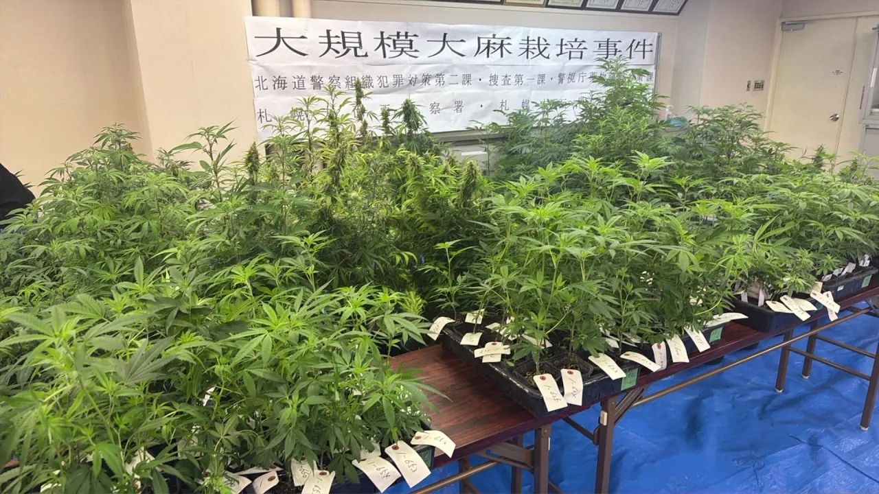 Japan! 2026.7-9 死刑執行 大阪のパチンコ店放火, 川に25歳のネパール人女性遺体浮かぶ, 金があると競馬する, 焼き破り, ゾンビたばこ, 逮捕の慶応大学4年の22歳女, 北海道苫小牧市の10代少女を誘拐「娘が帰ってこない」親族の通報で捜査6日後に山口県内で少女を保護北海道内を連れ回し、連れ去った山口県の警備員で22歳の男を未成年者誘拐の疑いで逮捕〈北海道苫小牧市〉, 【孤独につけこむ“ロマンス詐欺”】SNSに突然届くメッセージ→恋愛感情→投資話でだまされ北海道で1億円超の被害相次ぐ「恋は盲目。はまらないとは100%は言えない…人間だもの」〈みやぶれ詐欺〉, 【速報】阪神高速で飲酒して160キロで走行し死亡事故を起こした22歳男 「速度超過による危険運転致死」で起訴 法改正以降で”大阪初”となる立件, 覚醒剤9億円相当を密輸疑い 震える手に税関職員が気づき発覚 荷物の中13袋に小分けされ, 【3600万円だまし取る】中国籍の20歳男を逮捕…警察官など装い「逮捕状が出ている」とインチキ話をふっかけ60代男性を脅す…現金入れたバックを共犯者に回収させる”あっせん・指示役”か〈北海道札幌市〉, 会社役員の男性が自宅で殺害され現金奪われた未解決事件から13日で13年 遺族らが改めて情報提供を呼びかけ, 91歳女性殺害か、ベトナム国籍の男を再逮捕「空腹で盗みに入った」「居合わせたので殺した」鉢合わせが引き金か, AIで作ったモデルの画像と「酷似」で裁判に 著作権は認められる?, 11億円分の覚醒剤を密輸した疑い 関空の手荷物では過去最大の量, 「あべちか」で女性刺し、22万円入りバッグ奪ったか 男女2人逮捕, 東京・町田の美大生失踪27年、両親が情報提供呼びかけ, 靴下に希少トカゲ200匹 韓国から密輸図った疑いで男性逮捕, 「決して諦めない」 町田市 女子大学生行方不明から27年 父親がチラシ配り「40年になっても捜し続ける」, 親族に「2人で自殺」宇和島の自宅で夫の首絞め殺人未遂 75歳妻逮捕 夫は施設から一時帰宅【愛媛】, 日航機事故から41年、前夜に「御巣鷹の尾根」ふもとで灯籠流し, 「生きている地獄」終戦3日前に満州で起きた「麻山事件」 初めて公開された名簿が語る異様さ500人以上の民間人はなぜ自決しなければならなかったのか【終戦81年】, 「自動選定の銘柄を売買する”クオンツ取引”で利益が出る」50代女性が投資名目で1200万円だまし取られる 仙台, 10年前から怒鳴り声…逮捕歴も 「介護疲れで日常的に暴行」同居の母親死亡で58歳息子を逮捕, 青森市の自室アパート放火の疑い 79歳の女を鑑定留置 刑事責任能力の有無を調べる 青森地方検察庁, 太陽光発電所で電線ケーブルを盗もうとした疑い ベトナム国籍の男2人を再逮捕 愛知県内で同様被害約140件, 昭和のミステリー「無尽蔵事件」で浮上した「ワゴン車から滴る腐敗汁」の正体…骨董店主の失踪に“男性従業員”は関与したのか, 資産500パーセント増加計画…投資参加を促された男性、現金2469万円を失う 相手が指定する口座に11回振り込む 不審な取引が…男性が使用した口座の金融機関、県警に情報提供 被害が発覚, 【速報】一審で「無期懲役」の判決受けた「特定少年」川口侑斗被告(当時18)が控訴…一審で「終始共犯者を主導」事件の“主犯格”とされた男_弁護側は「懲役25年が適正」と主張【江別集団暴行死】, 中国籍の男性 スキューバダイビング中に意識失う 静岡・伊東市の海岸から500m沖合, 西条まつりの集団暴行 襲撃側のかき手の男4人を傷害などで起訴 起訴は8人に【愛媛】, 【続報】フロートで遊泳中に波に煽られて親子3人が落水 中1娘と小3息子の2人が死亡 娘は海面に漂流 息子は父親が抱きかかえて岩場に 新潟市の海難事故, “投げ銭” 1000万円超 殺害された89歳母親は逮捕の娘(54)に「家を建ててやった」 千葉・いすみ市, 末端価格1億円相当の大麻草1083株を営利目的で栽培_30歳無職男ら2人を逮捕_1つの建物内で押収した大麻草としては道内で過去最大の量<北海道日高町>, 「キャバクラいかがですか」声を掛けた相手は私服で警戒中の警察官 路上で客引きをした疑いで男2人を逮捕, 価格が高騰する銅を狙って太陽光発電所から送電ケーブル2.2トンを盗んだか 金属盗対策法違反の疑いなど 男2人を逮捕・送検 富山, 【速報】「不倫して子どもできた」「中絶にお金必要」90歳女性、息子かたる男らに1000万円超手渡す, 佐賀県独自ブランド「いちごさん」の苗2000株盗難…7年かけ開発、盗難6回目, 【現場報告】男の死因は胸を撃たれたことによる“出血性ショック”と判明 刃物のようなものを持った男に警察官が発砲 「普段はとても静かな地域。怖い」と話す住民も, 「撃つぞ!おろせ!」警察官が“刃物男”に発砲 2発目が左胸に命中し死亡 専門家「適正な使用」 大阪・河内長野市, 「1度目は男性の体調を心配し…2度目は行くあてがなくなり…」同じマンションに住む36歳男性にストーカー行為か 38歳女を逮捕, 患者の点滴に大便混ぜたか 元看護師の古川被告を殺人の罪で起訴 逮捕当時から「否認」続ける 千葉・柏市, 「金目のものを出せ!」強盗致傷疑いで64歳男を指名手配 家の前に立つ男の姿をドライブレコーダーが捉える 自転車で逃走か 高松市, 脳腫瘍摘出手術で「腫瘍のない部位」を誤摘出 脳幹損傷で50代女性が自発呼吸できない重篤状態 京大病院で医療事故, 44歳義弟を蹴って死亡させたか 41歳女を逮捕 日頃から同じ敷地内の義弟宅と行き来…夫は外出中 「生活態度に不満」暴行繰り返したか, 【特殊詐欺】「よく変な電話が…」被害は“家族”で防いで!新潟県内今年の被害額は約14億円 お盆を前に警察が呼びかけ「家族みんなで対策を」, “防げた可能性”指摘…小学1年の女の子が母親と内縁の夫から虐待受け死亡した事件 児相の対応等検証した第三者委が報告書, 【独自】「下着買ってくれませんか」女子中学生になりすまし“パパ活”助長か35歳男逮捕 「1日で10万稼げる」と少女勧誘, 「集英社に恨みはない」ストレス発散で“43億円超”のジャンプグッズを大量注文・キャンセルか 32歳女を逮捕「品切れ前に買うと満足感」, 「客がむかつくから」他人名義のクレカ使った疑いで従業員逮捕 会計時に暗証番号を確認か 自宅から複数の他人名義カード発見, 【きょう判決】当時18歳の”特定少年”川口侑斗被告に「無期懲役」を求刑した検察「被害者を絶望の淵に追いやる拷問的な暴行で”地獄の苦しみ”を与えた」と強烈に非難_遺族も「主犯格は間違いなくお前だ」と怒り, 阿久根市大川強盗殺人事件 捜査検討会 事件発生からあすで29年, 「パパ活女子」狙い性的暴行容疑 44歳を再逮捕 十数人被害か, 3人射殺の八王子ナンペイ事件から31年「ささいな情報でも提供を」, 埼玉・飯能の山中に91歳女性遺体 ベトナム国籍の男、殺害を示唆, 女子高校生2人含む女性3人射殺…スーパーナンペイ事件から30年「逃げ得は許さない」誰か特定できない指紋は7点に絞られる, 「すべて自分から始まった」江別暴行死裁判、主犯格とされる男が証言「遺族の皆様からすれば死刑だと思う」, 30年以上海外逃亡の57歳男を逮捕 強盗傷害事件起こしフィリピンに潜伏 「俺はやっていない」容疑否認 佐賀, 強盗準備の疑いで“リクルーター役”の25歳男と19歳少年を逮捕 SNSで「高額バイト」謳い集めたか, 銀座でひったくり自作自演 新たに3人逮捕 中国人の男が見張り役2人にSNS指示内容を翻訳し伝達 「ロレックス」売却金2200万円, 元特捜検事を免職、法務省「信用著しく損ねた」 捜査対象者と交際, レバノンで岡本公三容疑者の葬儀 PFLP指導部らが参列, ニュースアンソロジー <1997年> 福田和子容疑者を逮捕 逃亡14年11カ月 時効寸前、福井で 松山のホステス殺人, サリドマイド薬害から約60年、被害者の高齢化で新たな「壁」 「安心して医療にかかりたい」当事者たちが訴える切実な声, 閉店間際の質店に強盗 従業員が立ち向かうもケース叩き割り220万円のロレックス奪う 犯行の一部始終, 「2人が動けなくなった」中国籍の男女2人が体調不良で行動不能 低体温症の疑い 北アルプス白馬岳で遭難、同行下山して救助, 「治療費が欲しかった」自転車とぶつかりそうになり暴行か 36歳男逮捕 男性の頭を踏みつけ撮影も 東京・品川区, パン切り包丁を手に「殺してやる!」50代夫を脅迫した中国籍の39歳妻を現行犯逮捕「包丁を持ちましたが夫には向けていません」と容疑一部否認…「父と母がもめている」と家族が110番〈北海道札幌市〉, 隅田川花火で置き引きか 現金6000円など盗んだ疑いで24歳男を現行犯逮捕 「東京に遊びに来てお金がなくなった」, 営業中の質店に“強盗”犯行の一部始終 スタッフ抵抗も黒ずくめの男たちがバールで破壊、高級腕時計など奪い逃走 被害額1000万円超か, 【速報】男女4人刺傷事件で理学療法士の男(44)を殺人未遂容疑で再逮捕 大分・佐伯市, 台船の遺体は大阪市の53歳女性 殺害され橋の上から落とされたか, 千葉市のコインランドリーで女性の下着を窃盗か 自称会社員の54歳の男を逮捕 家から女性用の下着約300点を押収 余罪を捜査 千葉県警, 全裸で近づき「ごめんなさい」女子児童に裸で近づいた疑いで会社員の男逮捕「ストレスがたまると裸に」, 「日本赤軍」岡本公三容疑者(78)が亡命先レバノンで死亡 イスラエル空港で100人以上死傷の銃乱射テロ実行犯, 『八木原亜麻被告こそ元凶で”悪魔”なのだと分かった』被害者の母親が心境を吐露―当時17歳の少年は『被害者から取った金だからぜいたくしようと』取り分7000円のうち事件直後に2000円分ラーメン店で食事, 関西空港で多発する無許可の違法タクシー“白タク” 中国籍の女逮捕 「自家用車に不特定多数の旅行客を乗せて京都市内のホテルまで送迎した疑い」 摘発の一部始終を独自撮影, 「お酒飲みなよ」15歳少女に酒とせき止め薬飲ませ性的暴行か 54歳男を逮捕 スマホから“わいせつ動画”約60本, ダンベルや生き物も!?年間で約22万点!警察署の落とし物倉庫に潜入, 弔いのない別れ 認知症で行方不明の父を待つ娘の13年, 隣人の81歳を金属バットで殺害容疑、男逮捕「12~13回殴った」, 実の娘への性虐待 準強姦罪に問われた父に懲役9年が確定, ウィシュマさん訴訟が結審、判決は12月11日 医療提供適切か争点, 殺人事件から未解決のまま31年 スーパーナンペイ関連の情報提供を, 妻の首絞めた疑いで88歳逮捕、妻はその後死亡 夫が介護との情報も, 「日本赤軍」 岡本公三容疑者死亡 空港乱射事件で国際手配, “刑務所仲間”の45歳と42歳の男逮捕 練馬のマンションで強盗疑い 刃物突きつけ現金8000円奪うなどしたか, 風力発電の事業権めぐり企業から2億円だまし取った疑い 再エネ関連会社元代表ら3人逮捕 別会社に売却後も譲渡話, 「生活費のため」70代男性からバッグひったくりか 48歳男を逮捕 県内で同様の事件相次ぐ 埼玉・春日部市, 未体験者がどう語り継ぐか…悲劇から67年、宮森小ジェット機墜落事故の記憶を未来へ繋ぐ若者たちの模索, 死刑囚が弁護士に宛てた手紙を拘置所が塗りつぶし、「違法」判決が確定, 警察が本格的に取り締まりに乗り出す一方で…中国で流行中の″偽マンジャロ″が日本に上陸している!, 【初公判】「口からバキッと音がした」川村葉音被告の裁判で宣誓拒否”暴行の主犯格”川口侑斗被告(当時18)「血が付いたべ!弁償しろ」「楽しい雰囲気残すため髪に火をつけ撮影」横たわる被害者の頭に交互に蹴り, 「強固な殺意に基づく冷酷な犯行」埼玉・ふじみ野市立てこもり医師殺害事件 被告(70)の上告棄却 無期懲役確定へ 最高裁, 動画配信者殺害・多摩川スーツケース死体遺棄事件 女の交際相手の男(41)の上告棄却 懲役15年実刑判決が確定へ 横浜地裁, 高級魚“クロマグロ”が豊漁で“厄介者”に 一方で和歌山県沖ではカツオが大不漁 瀬戸内海では“南の海の魚”が「去年の10倍以上」に増加 その背景は, 「便注入、死ぬか」元看護師の女(51)のスマホに検索履歴 男性患者の点滴に排泄物混ぜ殺害容疑 滅菌カップ使い証拠隠滅図ったか 千葉・柏市, “AI著名人”フェイク動画でウソの投資話…80代女性から1700万円詐取 台湾詐欺グループか 受け取り役の女ら逮捕, 女性2人の承諾殺人の男に懲役10年の判決 さいたま地裁「自己の殺人願望を満たすもの」「厳しい非難に値する」, 【北朝鮮拉致問題】「4人が一緒だと今でも思っている」1967年雄武町沖でイカ漁の家族4人が消息を絶つ…無事を祈る女性が聞いた”40年後の新証言”〈北海道〉, ”懲役30年の判決に不服”川村葉音被告(21)が控訴…無期懲役を求刑した検察側も控訴…”主犯格”川口侑斗被告(当時18)らの初公判はまもなく【江別市男子大学生集団暴行強盗致死事件】, 同居女性の“唇縫い付け”桜井政恵容疑者(50)の自宅に家宅捜索 容疑を否認 同居人や共犯者いたか調べる方針 茨城・古河市, 強盗目的で覆面マスク購入しバールなど載せた車で住宅に…男3人逮捕 トクリュウが闇バイトで募集か さいたま市, 袴田巖さんの姉ひで子さんインタビュー(前編)死刑の確定で弟は孤立し、妄想の世界に入っていった, “交際相手”を金づちで何度も殴り殺害か 33歳男を逮捕 「彼女を殺した」警察に自首 札幌市, 児童ら約9500人が発症「O157集団食中毒」から30年…学校関係者ら犠牲者に黙祷を捧げる 大阪・堺市, 東京駅前で無許可タクシー疑い 中国籍の男逮捕, 「全部交換しないと水漏れする」神戸市の水道修理業の男らが69歳女性から約154万円だまし取った疑いで再逮捕, 弟の腹を“包丁”で刺し殺害か 竹腰佳亨容疑者(57)を逮捕 調べに対し黙秘 千葉・野田市, 石川・七尾市で70代住職が刺殺 同居の長男を殺人容疑で逮捕 犯行から通報まで何があったのか, 「指導に不満」で修行先の寺に放火容疑 僧侶見習いを逮捕 佐賀県警, 茨城・五霞女子高生殺害23年 茨城県警、情報提供呼びかけ 埼玉・草加, 「人生の全てが嫌になって」修行している寺に放火の疑い、28歳僧侶見習いを逮捕, 横山ゆかりちゃん行方不明30年、群馬県警「どんな情報でも提供してほしい」「あなたの記憶を届けて」, 「子どもが倒れている」母親からの通報 その後出頭した42歳父親を小学1年娘を殺害の疑いで逮捕 息子も死亡で関連捜査 群馬・伊勢崎市, 横浜・山下公園近くで発見の上半身遺体は中国籍の女性と判明 死体遺棄などの疑いで捜査 関係者から「連絡取れない」と情報提供, 三原・強盗殺人事件 知人の男逮捕から1週間 被害男性は、生存が確認された約4時間前までの間に男と合流, 同居女性に唇突き出させ糸でほどけないよう“留め縫い”か 傷害容疑で逮捕された桜井容疑者の異様な共同生活, 金銭トラブル抱えた男性を誘拐か 「漁船乗るか、殺されるか選べ」暴力団組員の25歳男と男3人を逮捕 海外へ送り出す目的か, 同居女性の唇を“縫い付け” 桜井容疑者(49)自宅敷地に“うずくまる女性”の姿 目撃者「真冬でも見られた光景」, 「国旗損壊罪」に刑事法学者148人が反対声明「危険で重大な疑義」, 井上幸彦・元警視総監が死去 地下鉄サリン事件や長官銃撃事件を指揮, 「刃物で刺された」はうそ 自分で腹を刺し通報「痛くて怖くなり」 偽計業務妨害の疑いで姫路の男逮捕, 自転車の小学生に車で突っ込み殺害しようとした疑い 44歳男を逮捕 すれ違う際にトラブルになり、バック走行ではね飛ばし逃走か 大阪・守口市, 長崎・男児誘拐殺害事件から23年…現場近くの地蔵堂で市民ら悼む「風化させない」, 動画撮影モードのスマホをリュックに忍ばせ盗撮した疑い 北海道大学大学院の37歳准教授逮捕「間違いありません」容疑認める 押収された端末からは被害女性の動画 JR札幌駅の商業施設, 長野・母娘死亡 逮捕の46歳父親が入院 逮捕前に有毒物を服用か 取り調べ中に体調不良訴える 回復待ち改めて逮捕する方針, 警察官を装う特殊詐欺事件で中国籍の男を逮捕, 「もう死ぬしかないやん」1000回以上も…復縁迫る送信 男逮捕, 女性議員が実名会見 谷田部議員は「キスした事実なく行為もない」 わいせつ疑惑めぐり対立姿勢 横浜市, 西日本豪雨8年「復興 その先へ」2)ふるさとに明かりを灯したい…カフェ店長として奮闘する女性【岡山】, タイ人女性従業員に性的サービスさせたか 経営者の女ら逮捕 「タイ古式マッサージ」装い1.4億円売り上げ 警視庁, 東京・立川市のアパート窃盗事件、「案件屋」の男逮捕 現金の保管場所を情報提供か 現金930万円など盗んだ疑い, 認知症女性に修理契約疑い 10億円被害か、埼玉4人逮捕, 22歳女が70代男性にロマンス詐欺か 恋愛感情を抱かせ「大学院の入学金が必要」などとウソ 約42万円だまし取った疑い 警視庁, 那須町夫婦殺害事件 “指示役”と“仲介役”の男2人に懲役30年の判決 東京地裁「役割を主体的に果たした」, 上野資産家夫婦殺害 指示役と仲介役の男2人に懲役30年判決 「必要な役割を果たした」「発案者でも首謀者でもない」東京地裁, 宝島さん夫婦殺害事件で初判決 “指示役”と“仲介役”に懲役30年「犯行実現に必要な役割果たした」求刑は無期懲役, 白骨化“死体遺棄”で56歳男逮捕 80歳の母親か 親族から「数年連絡が取れない」, 郵便局でスプレー「誤って噴射」 搬送された5人は軽症 愛知, アフリカ・シエラレオネ拠点の特殊詐欺に関与か 兵庫県警が9人逮捕, トラックの土砂を一気にかぶせ生埋めにしたか 事前に掘った穴で作業をさせ…放火殺人事件巡る“口封じ”の可能性 広島・三原市, 【住宅火災で軽傷】住人の60代女性がやけど~木造2階建てで出火し女性自ら通報…夫は逃げてケガなし→1時間40分後に消し止められる〈北海道室蘭市〉, 幼い頃の虐待経験が犯行に影響か 府中町男性殺害事件の加害者男(当時18) 面談した大学教授指摘 広島, 2トントラックの土砂を一気に被せたか “幼なじみ”を生き埋め殺害容疑で29歳男逮捕 別の殺人放火事件の“口封じ”か 広島, 「父親に襲われた」息子が助け求める 住宅から2人の遺体…母と娘か 父親と連絡とれず行方追う 長野・東御市, 内田梨瑚被告の「求刑に納得いかず」男乱入…裁判員ら9人のうち“1人けが”と判明 北海道・旭川地裁, 【速報】母親と娘か 2人の遺体を発見 父親の46歳男を殺人未遂の疑いで逮捕 14歳息子「父親に襲われた」と店に助けを求める 長男に刃物で切り付け殺害しようとした疑い 2人の殺害にも関与か 長野・東御市, 【未解決事件】北九州主婦殺害事件から25年 防犯カメラに被害者のキャッシュカードで現金引き出す“フードかぶった人物” いまだ犯人特定されず, “伝説のスカウト”(41)逮捕 風俗店に女性2人を紹介した疑い 20年以上にわたって歌舞伎町中心に違法に女性紹介か